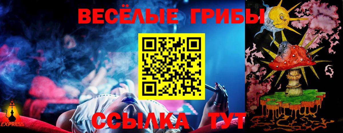 Псилоцибиновые грибы Psilocybine cubensis Сунжа